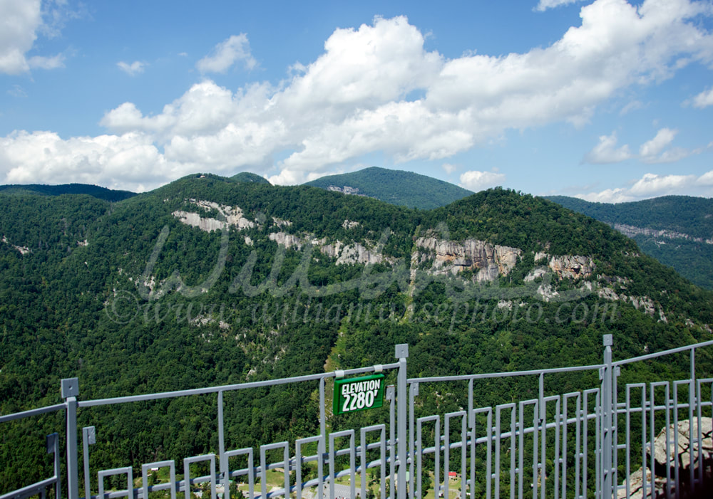 Chimney Rock North Carolina State Park Overlook view Picture