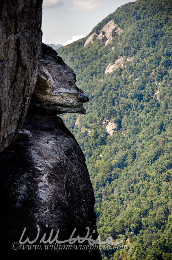 Devils Head granite rock formation, Chimney Rock North Carolina State Park Picture