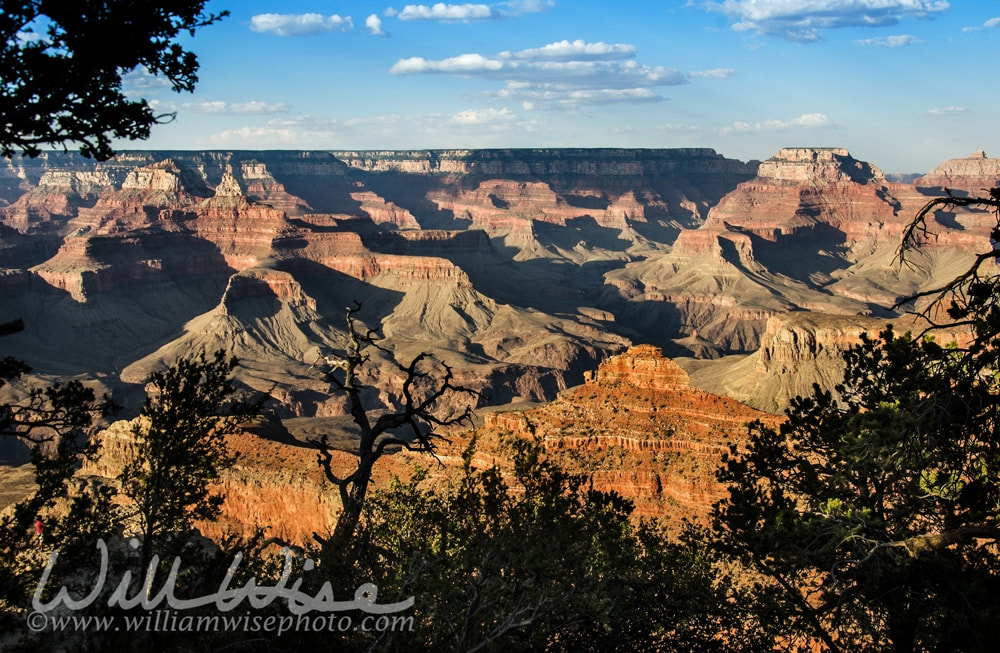 Shadows on Mather Point, Grand Canyon Picture