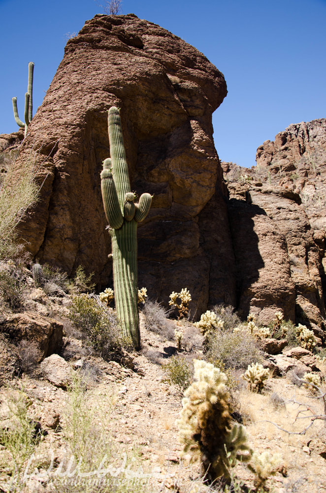 Gates Pass Trail Tucson Arizona Picture