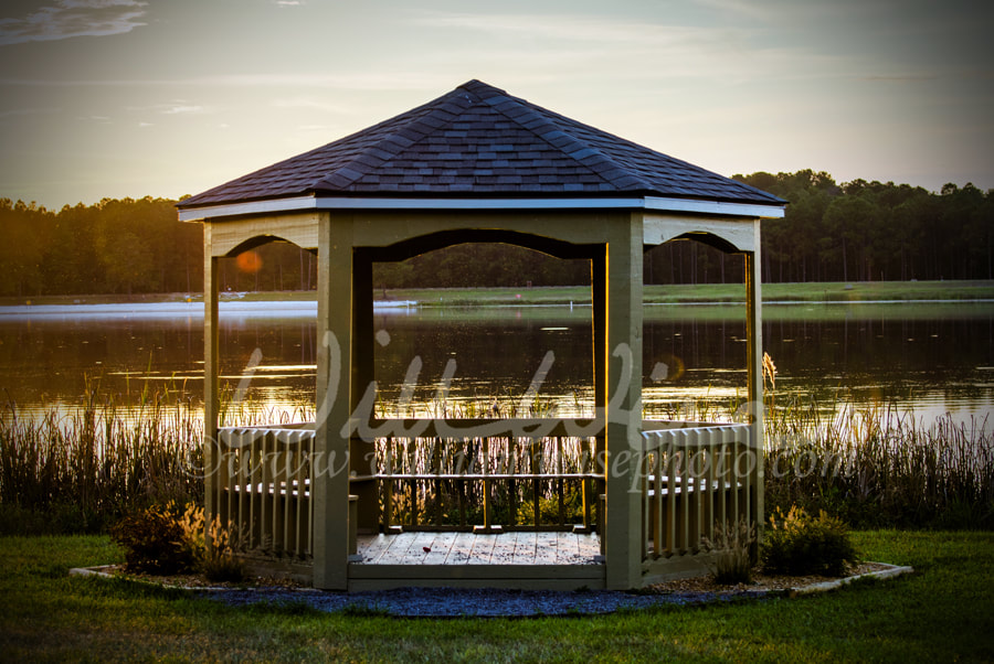 Reed Bingham State Park Gazebo by the lake Picture