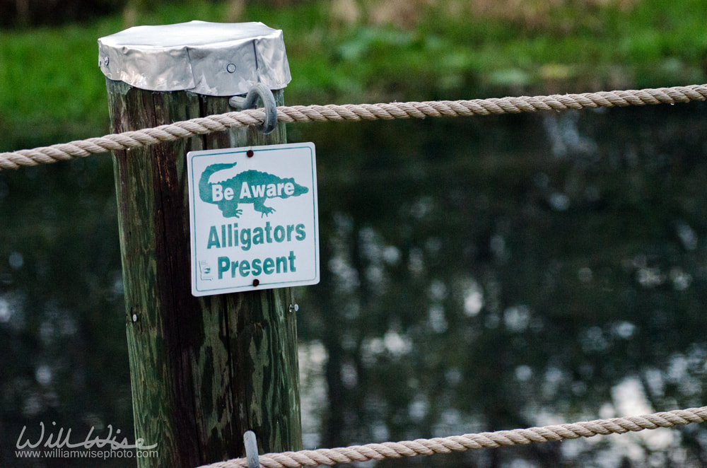 Caution Be Aware Alligators Present Sign Okefenokee Picture