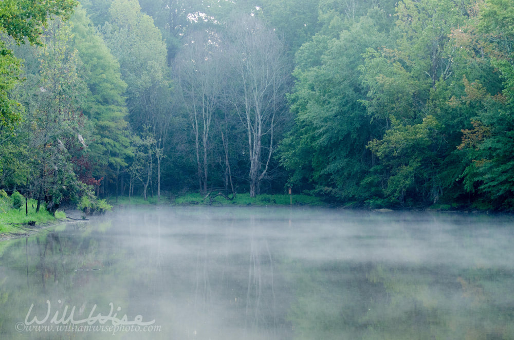 Mist on Bog Pond Walton County Monroe Georgia Picture