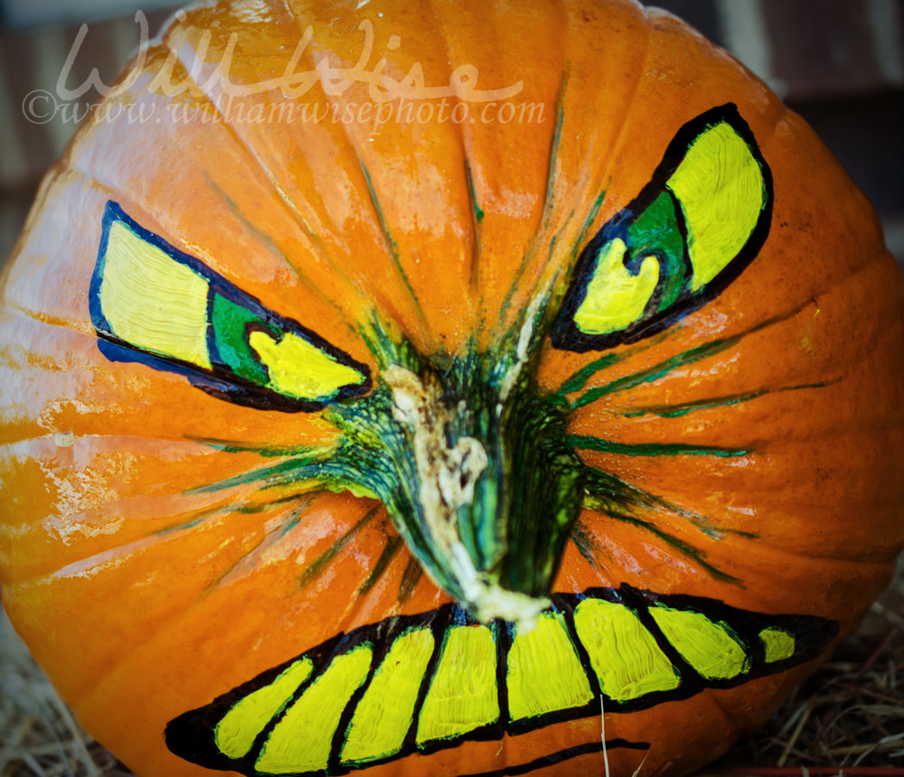 Painted Jack-o-lantern Pumpkin Halloween Picture