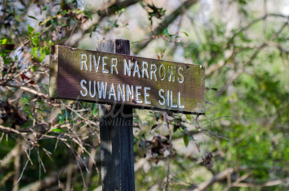 Canoe Trail sign, River Narrows Suwannee Sill, Okefenokee Swamp National Wildlife Refuge Picture
