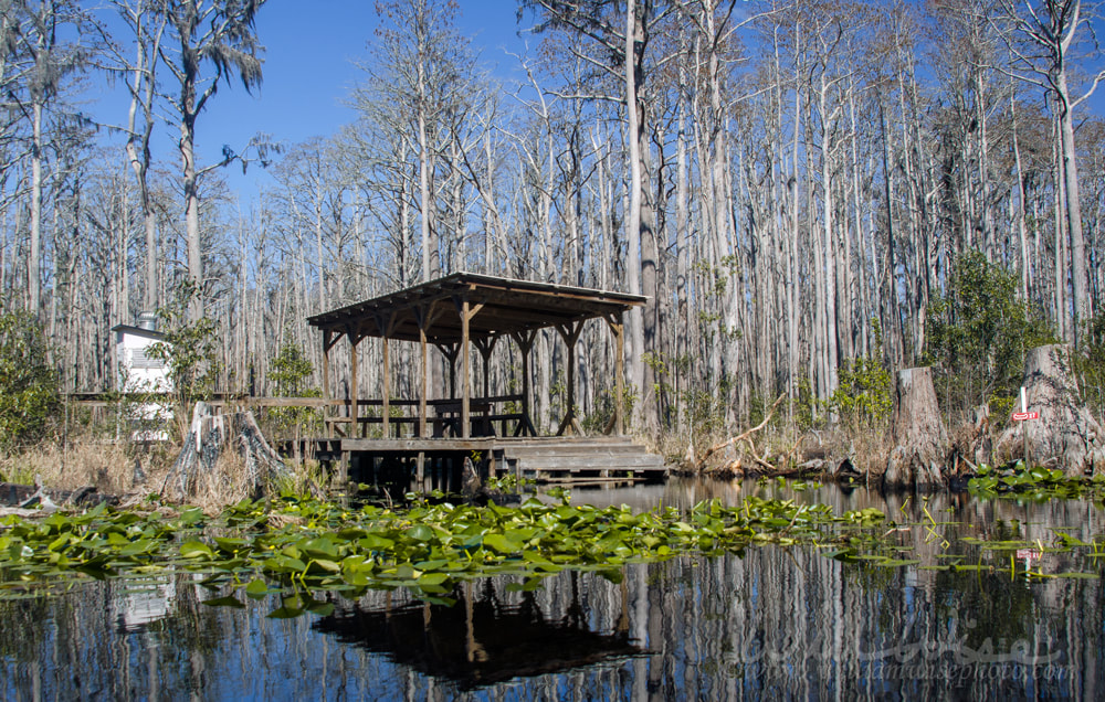 Okefenokee Rest Dock Outhouse Picture