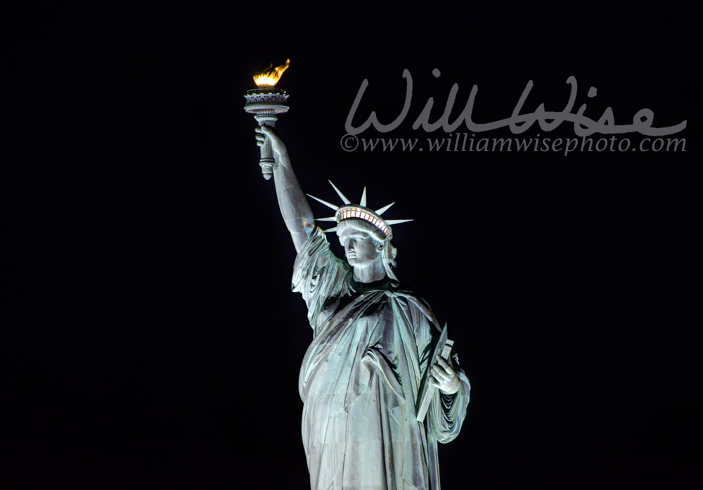 Statue of Liberty at Night Picture