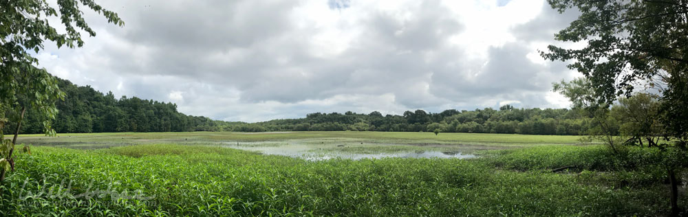 Panorama of Dyar Pasture Wildlife Management Area Picture