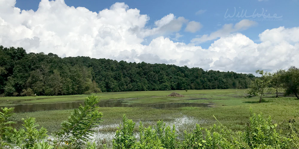 Panorama of Dyar Pasture Wildlife Management Area Picture