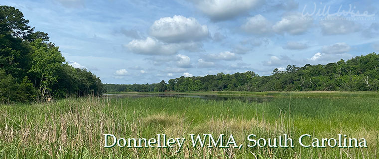 Donnelley WMA