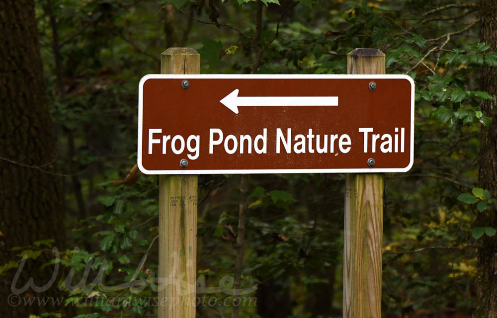 Frog Pond Nature Trail sign at Unicoi State Park Picture