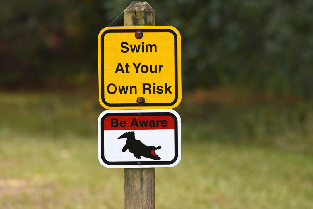 Swim at your own risk alligator warning sign Picture