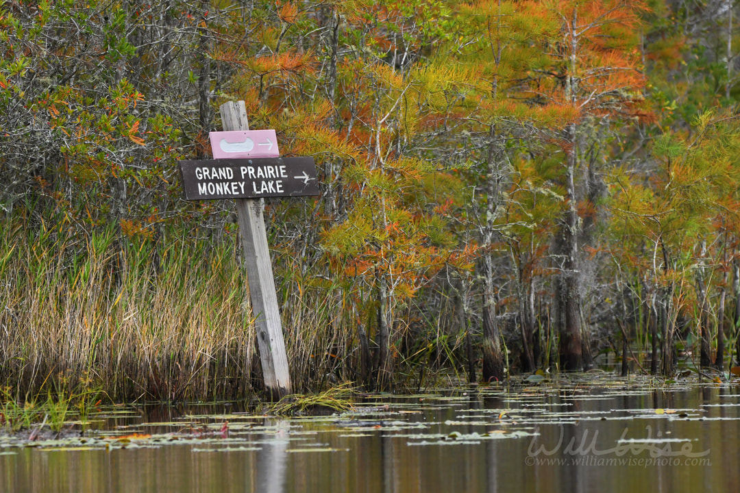 Canoe trail sign to Grand Prairie and Monkey Lake, Okefenokee Swamp National Wildlife Refuge, Georgia Picture