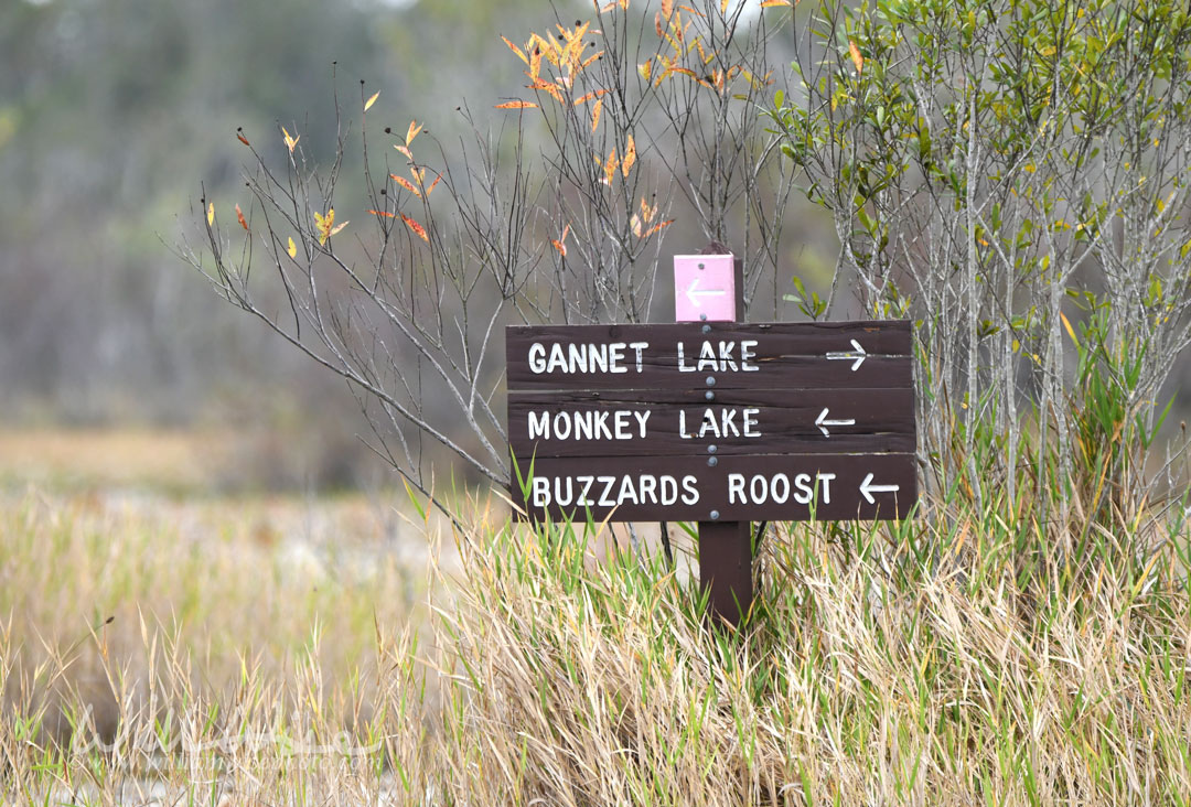 Canoe Kayak trail sign for Gannet Lake, Monkey Lake and Buzzards Roost Picture
