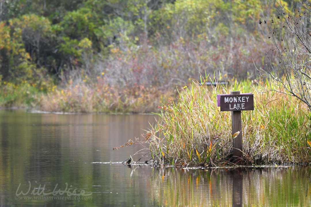 Monkey Lake sign, Okefenokee Swamp National Wildlife Refuge, Georgia Picture