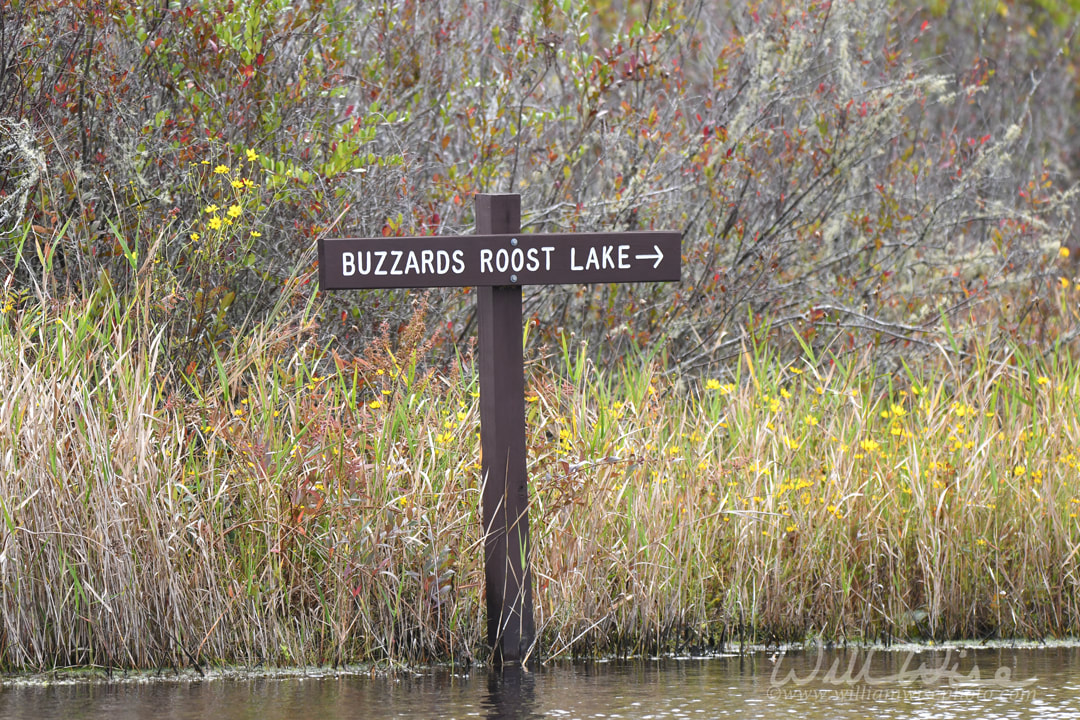 Buzzards Roost Lake sign, Okefenokee Swamp National Wildlife Refuge, Georgia Picture