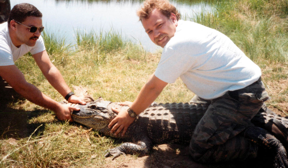 alligator tagging Picture