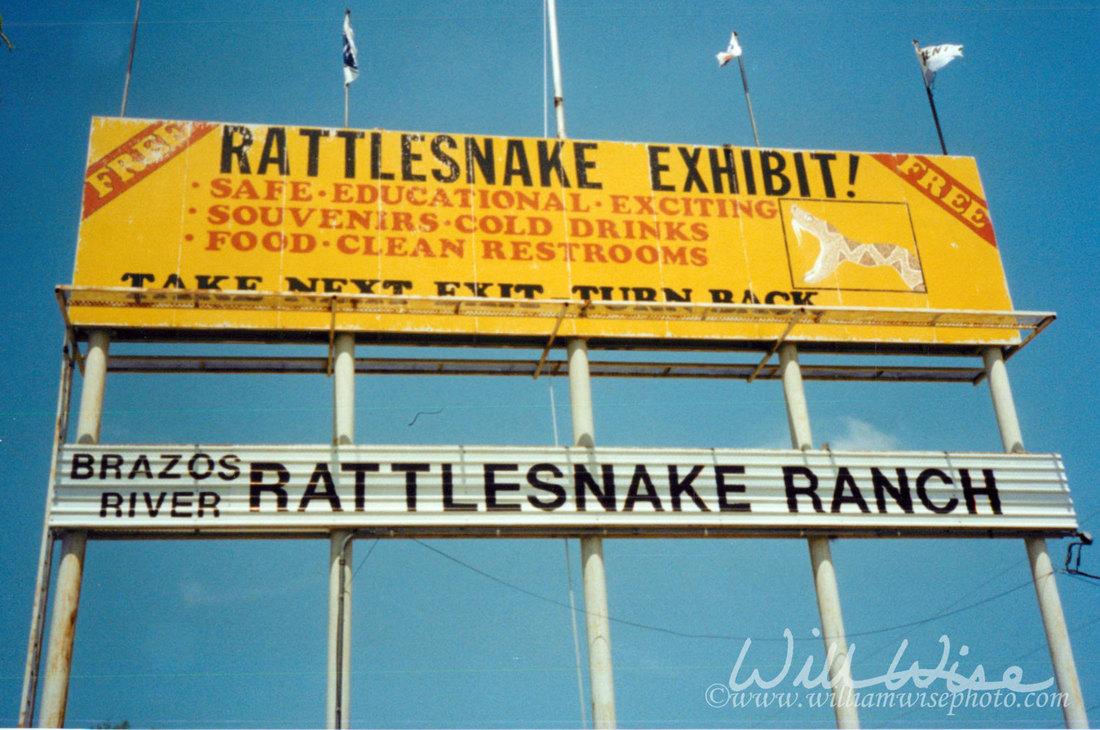 Rattlesnake Ranch Picture