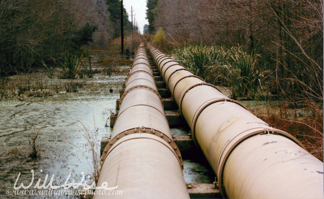 swamp pipeline Picture