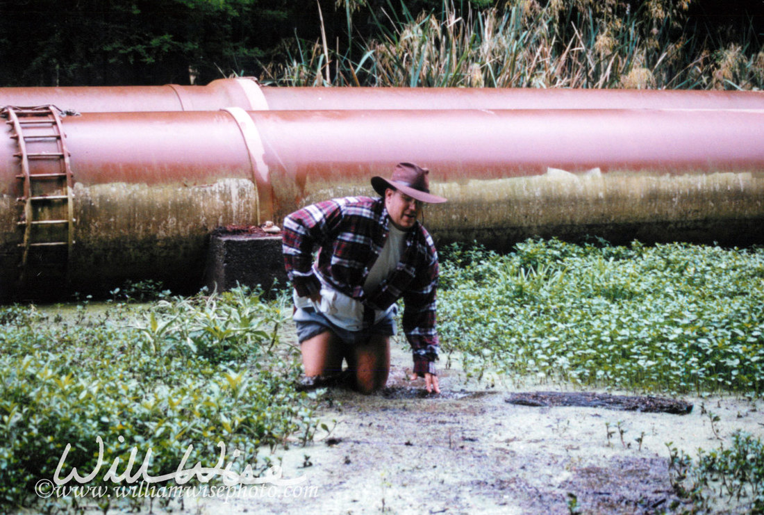 swamp pipeline picture