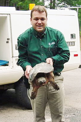 Giant Snapping Turtle Picture