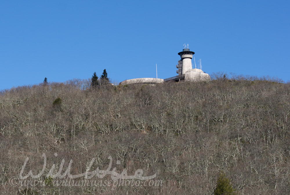 Brasstown Bald Mountain Picture
