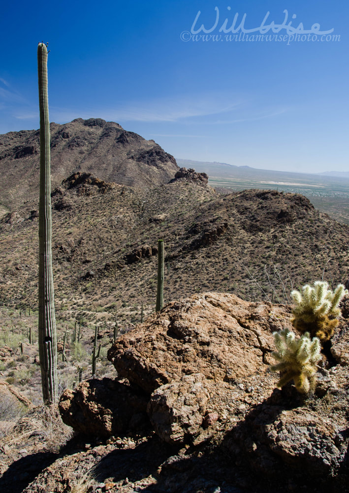 Gates Pass Trail Tucson Arizona Picture