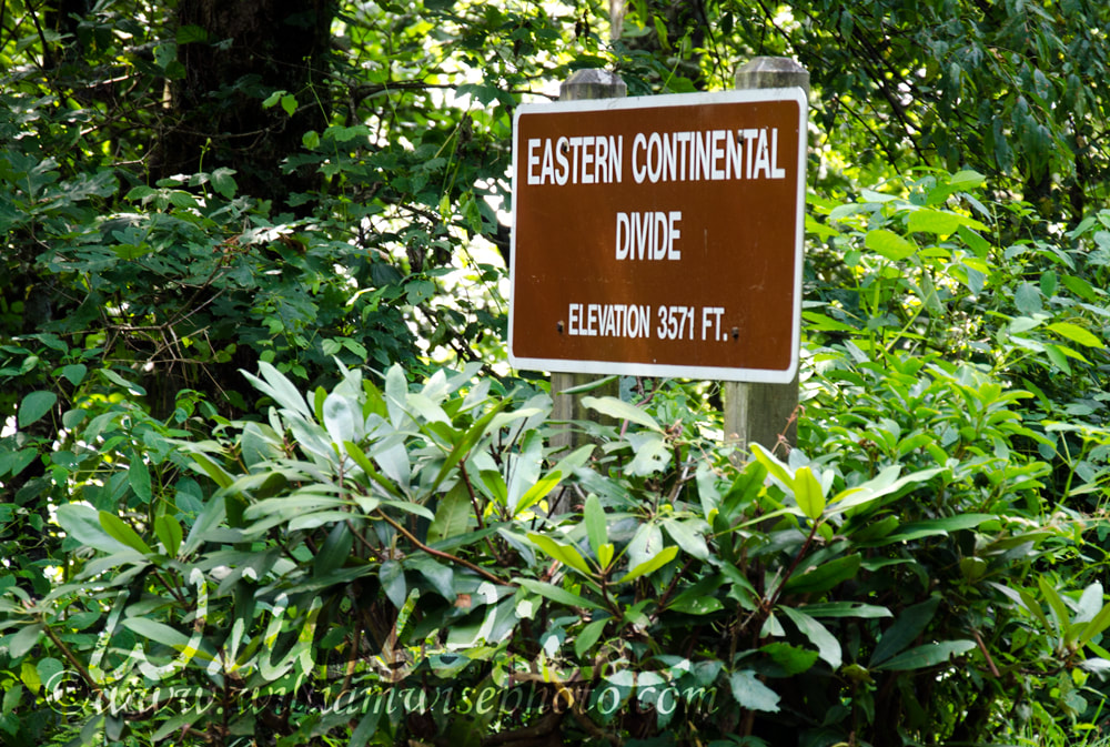 Eastern Continental Divide sign in Black Rock Mountain Georgia State Park Picture