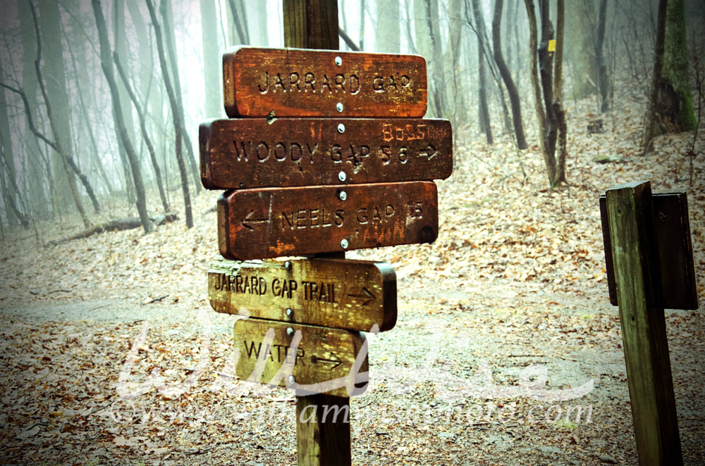 Appalachian Trail directional sign in Georgia Picture