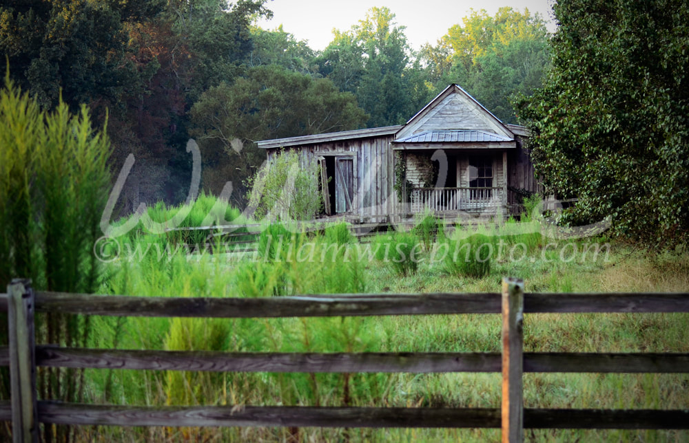 Old Rustic Homestead Picture