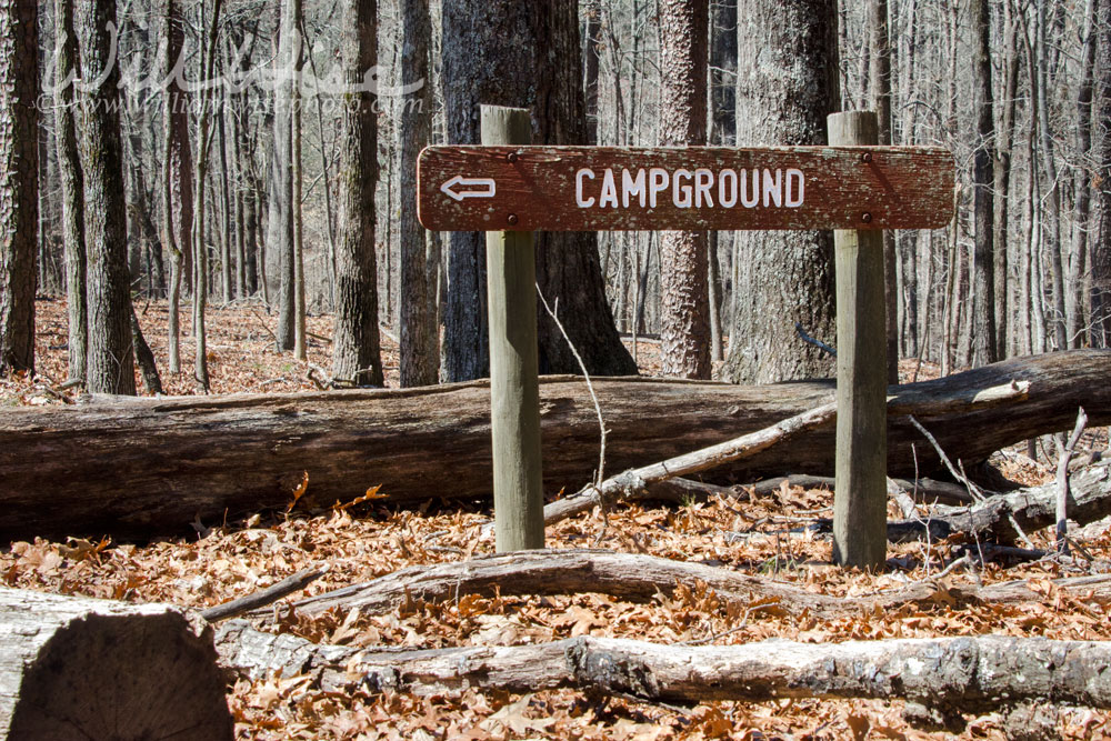 Red Top Mountain Campground sign Picture
