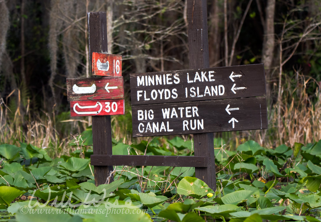 Okefenokee Swamp directional signs Picture