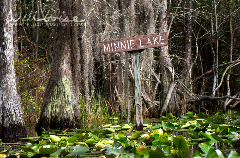 Minnie Lake canoe trail sign in the Okefenokee Swamp Picture