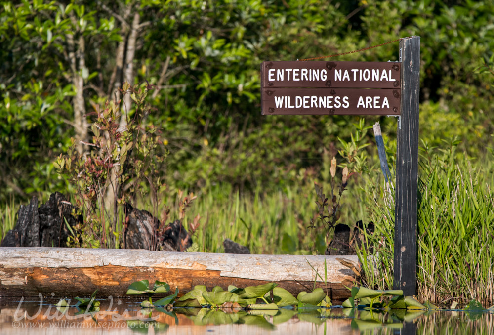 Entering National Wilderness Area kayak Canoe trail direction sign Okefenokee Swamp National Wildlife Refuge, Georgia USA Picture