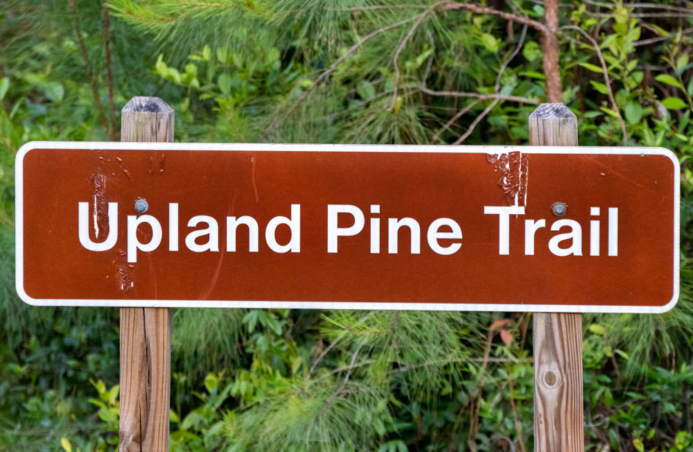 Upland Pine Trail sign Picture