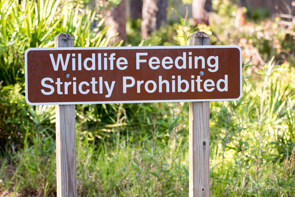 Wildlife Feeding Strictly Prohibited sign Picture
