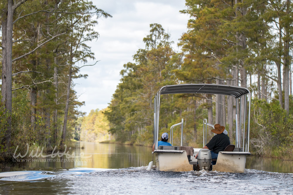 Tour Boat in Okefenokee Suwannee Canal Picture