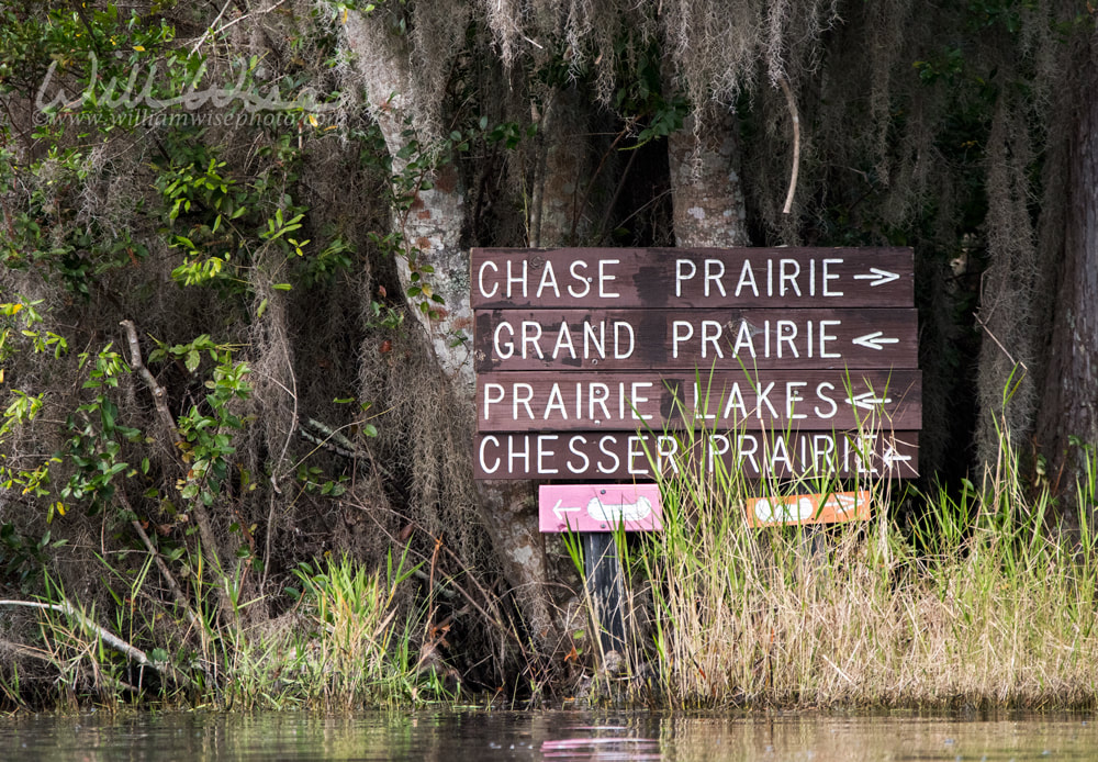 Canoe and kayak trail directional sign in the Okefenokee Swamp, Georgia USA Picture