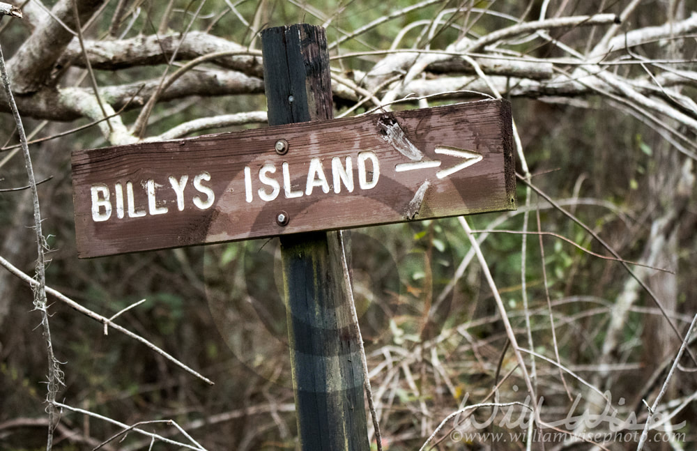 Okefenokee Billy's Island Canoe Trail Sign Picture
