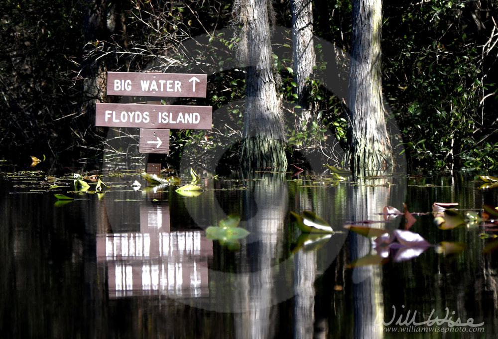 Canoe trail directional sign for Big Water shelter and Floyd`s Island in the Okefenokee Swamp National Wildlife Refuge, Georgia Picture