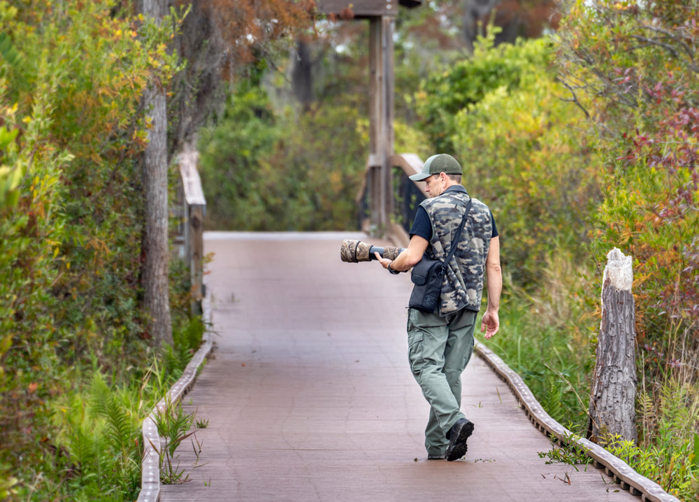 Wildlife Photographer with telephoto zoom lens walking swamp boardwalk wearing camouflage Picture