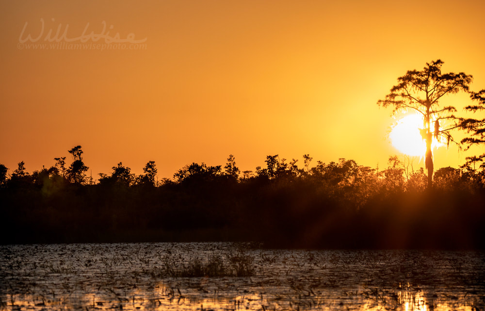 Sunset in the Okefenokee Swamp Picture