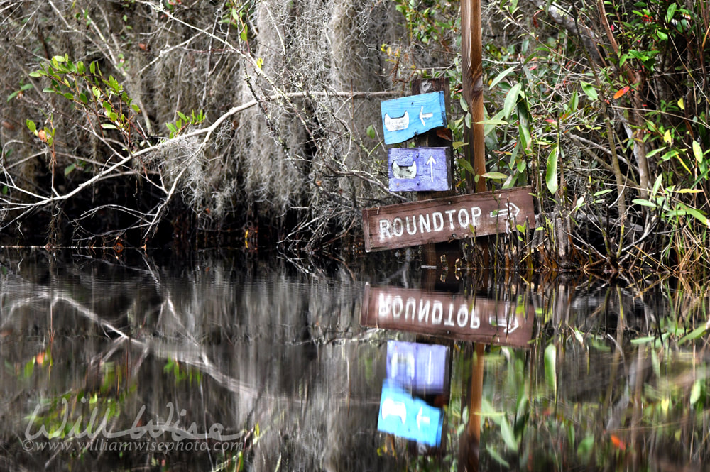 Round Top Shelter canoe kayak trail directional sign in Okefenokee National Wildlife Refuge, Georgia USA Picture