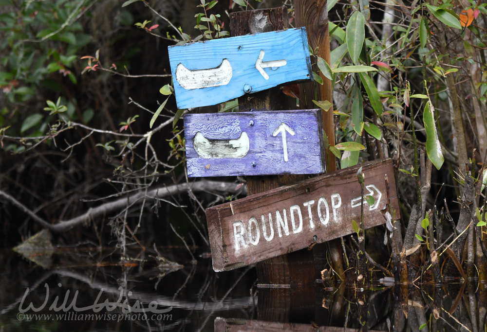 Round Top Shelter canoe kayak trail directional sign in Okefenokee National Wildlife Refuge, Georgia USA Picture