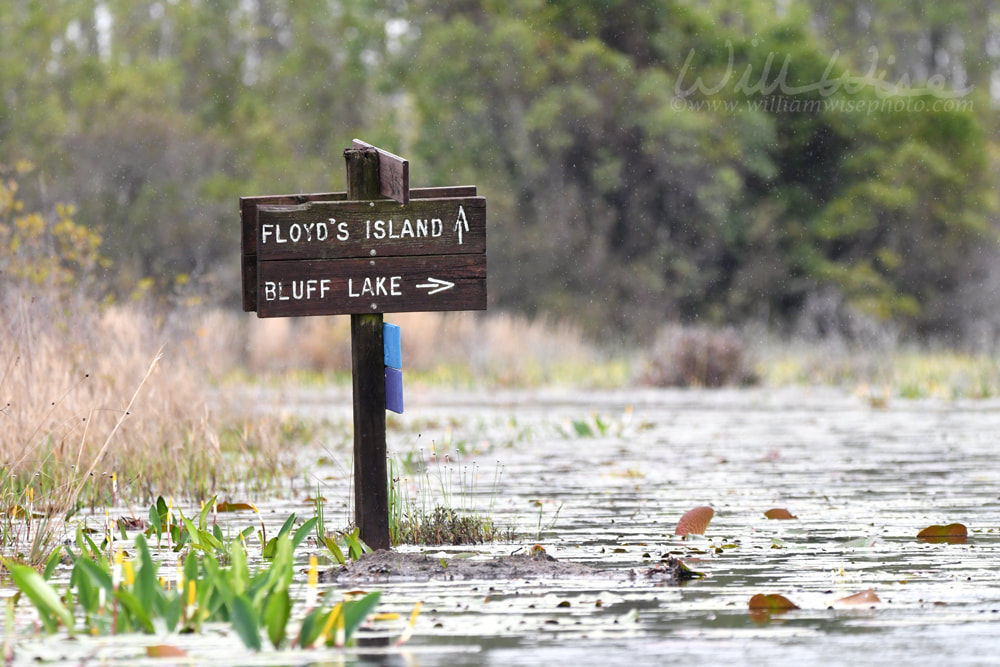 Floyd`s Island and Bluff Lake canoe kayak trail directional sign in Okefenokee National Wildlife Refuge, Georgia USA Picture