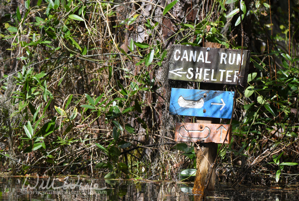 Canal Run Overnight Shelter canoe trail directional sign; Okefenokee Swamp National Wildlife Refuge, Georgia USA Picture