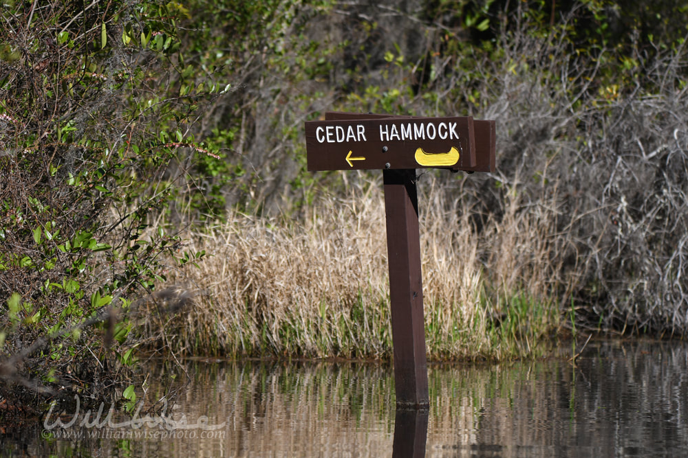 Cedar Hammock canoe kayak trail directional sign in the Okefenokee Swamp on Chase Prairie, Georgia Picture