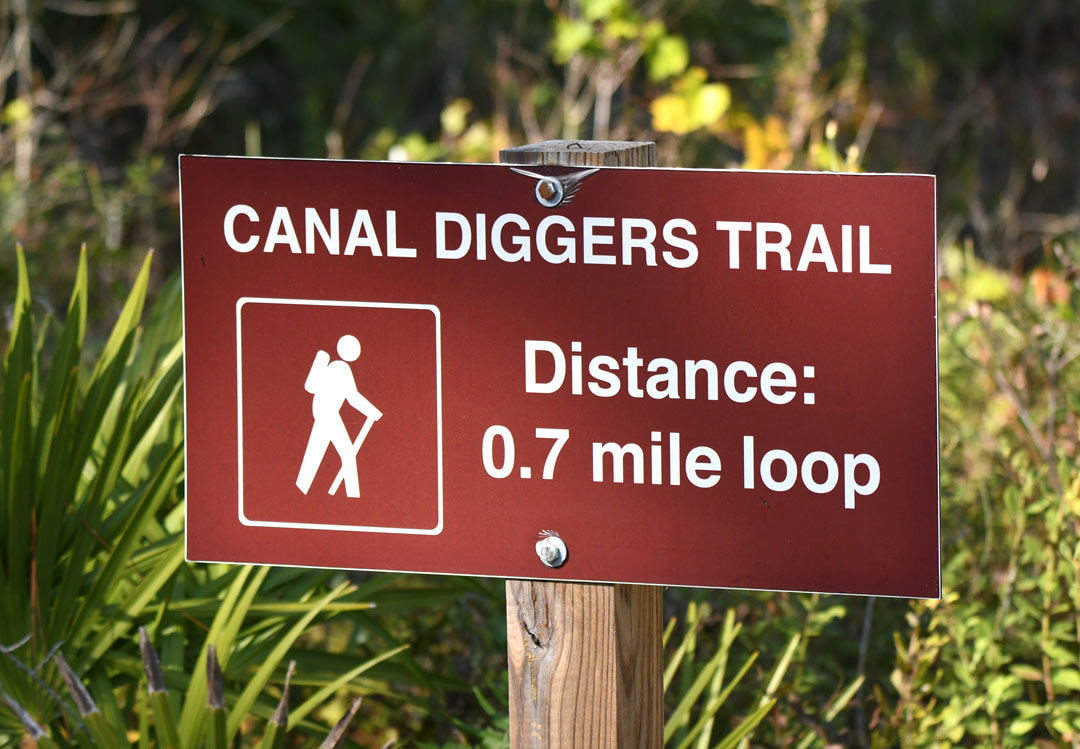 Okefenokee Swamp Canal Diggers Trail Picture