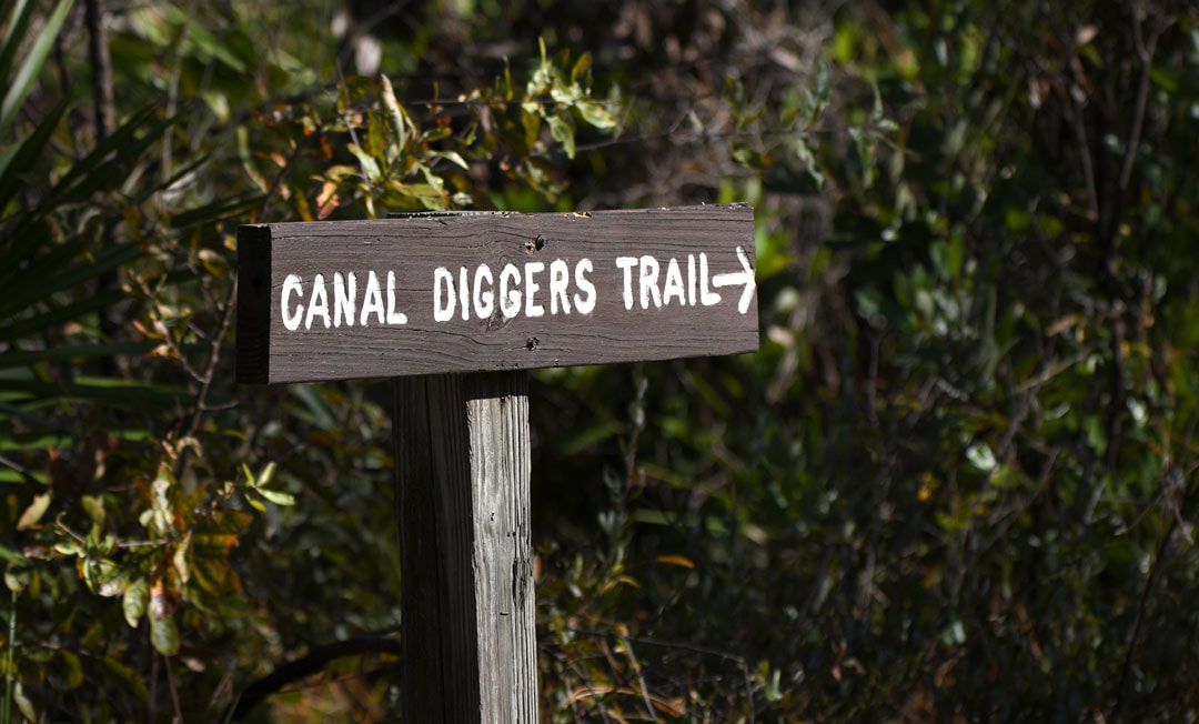 Okefenokee Swamp Canal Diggers Trail Picture