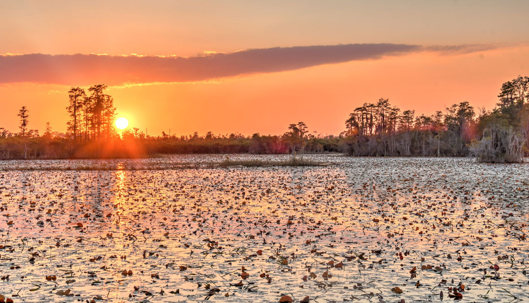 Okefenokee Swamp Grand Prairie Sunset Picture
